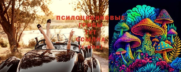эйфоретик Абинск