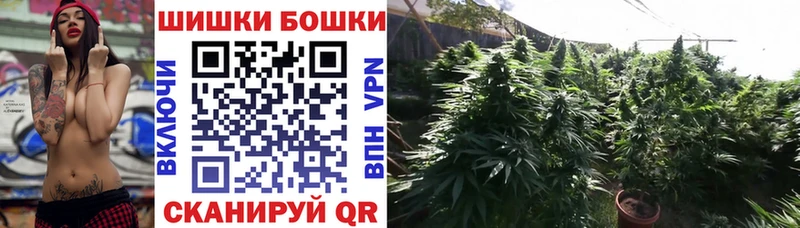 Каннабис OG Kush Кочубеевское